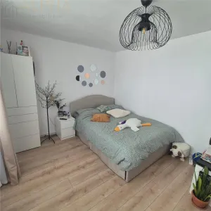 Casa individuala, zona ultracentrala – acces din doua strazi, teren 316 mp - foto 13