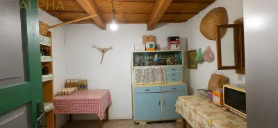 CASA RUSTICA CU TEREN 1800 MP, CART. SARATA, JUD BN - foto 18