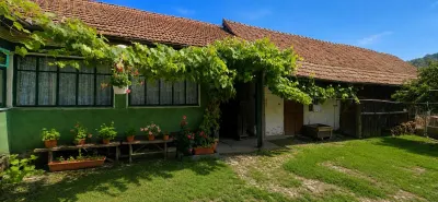 CASA RUSTICA CU TEREN 1800 MP, CART. SARATA, JUD BN - foto 4