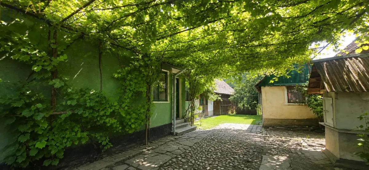 CASA RUSTICA CU TEREN 1800 MP, CART. SARATA, JUD BN - foto 5