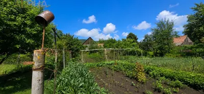 CASA RUSTICA CU TEREN 1800 MP, CART. SARATA, JUD BN - foto 7