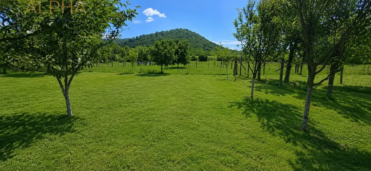 CASA RUSTICA CU TEREN 1800 MP, CART. SARATA, JUD BN - foto 10