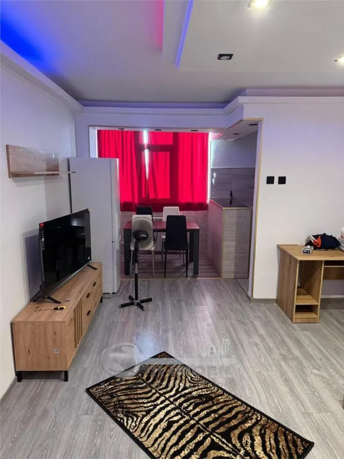 Apartament o camera Podul de Piatra - foto 3