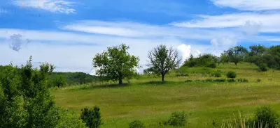 CASA CU TEREN GENEROS IN HERINA, BN – OPORTUNITATE DE INVESTITIE TURISTICA SAU REZIDENTIALA - foto 15