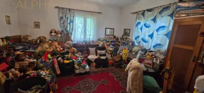 CASA CU TEREN GENEROS IN HERINA, BN – OPORTUNITATE DE INVESTITIE TURISTICA SAU REZIDENTIALA - foto 9