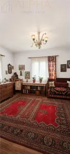 CASA CU TEREN GENEROS IN HERINA, BN – OPORTUNITATE DE INVESTITIE TURISTICA SAU REZIDENTIALA - foto 10