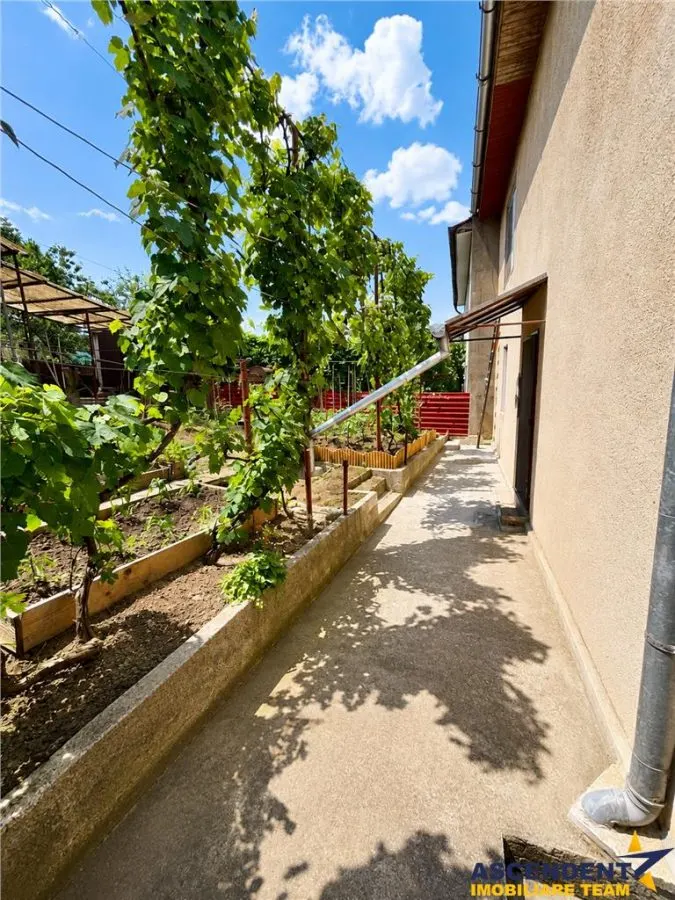 Casa individuala cu 5 camere, garaj, pivnita si curte proprie, Sangeorgiu de Mures - foto 18