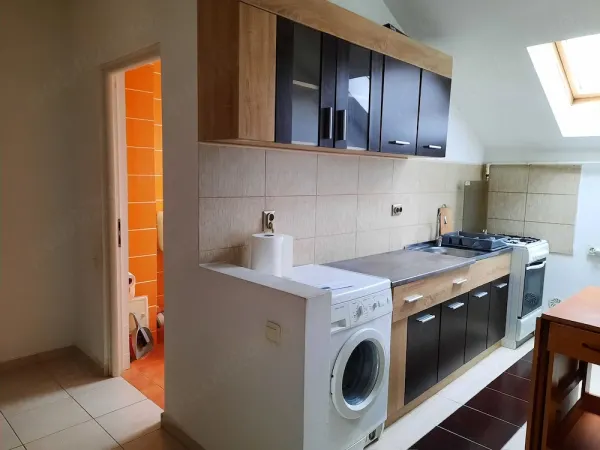 Apartament 1 camera Baia Mare - poza 4