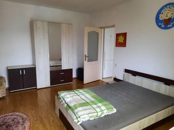 Apartament 1 camera Baia Mare - poza 5