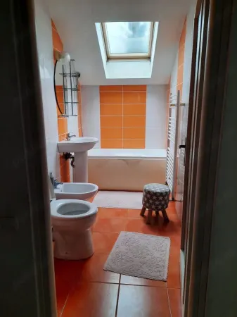 Apartament 1 camera Baia Mare - poza 6