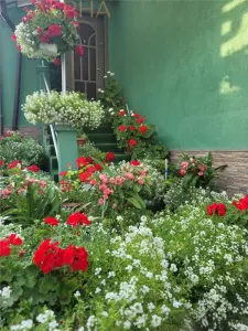 Casa de vanzare - foto 5