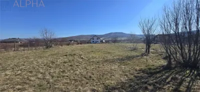 Teren intravilan 1.250 mp – Unirea, BN - foto 3
