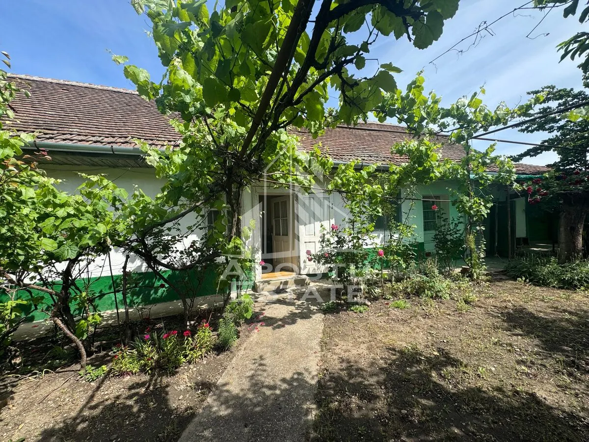Teren comercial 1.273 mp + constructie Calea Timisorii - foto 2