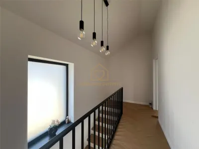 Casa zona Miron Costin de inchiriat - foto 9