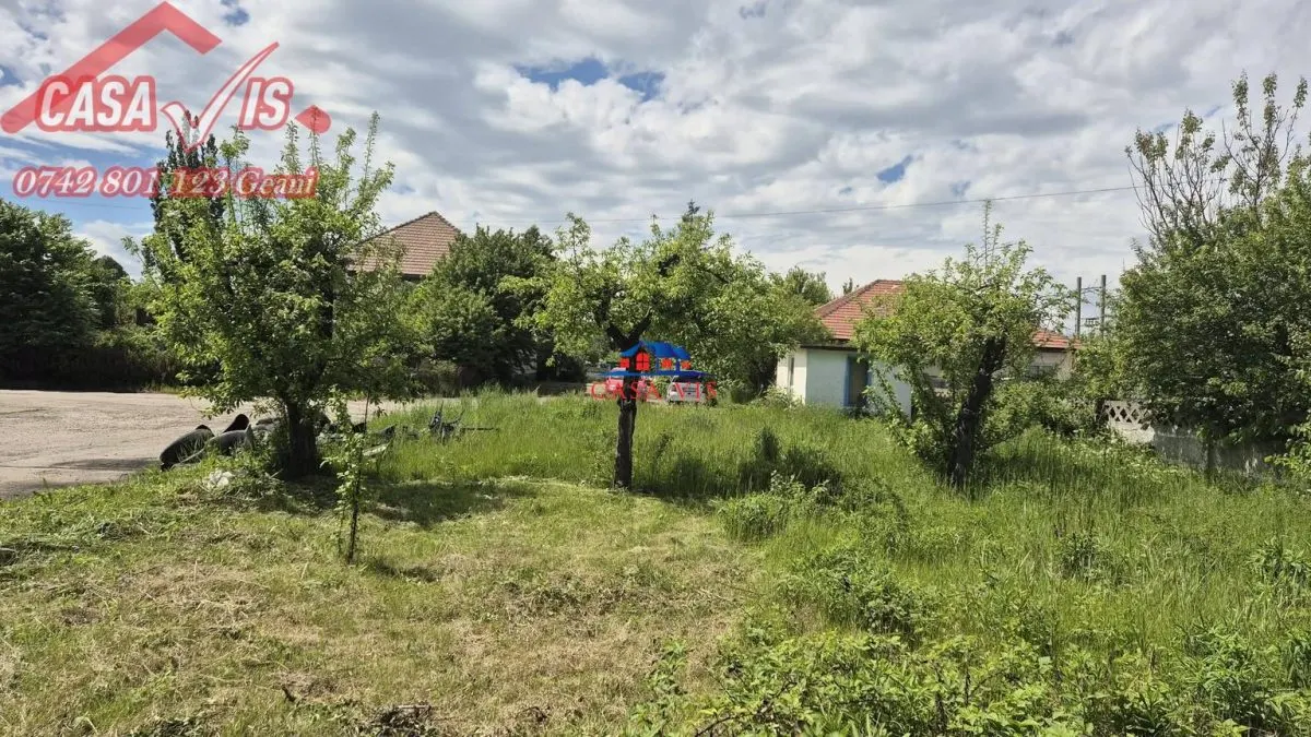 Teren de inchiriat in Onesti 200 euro/luna - foto 6