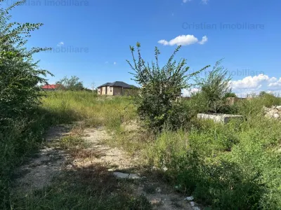 1073mp cu 25m deschidere Radu Negru Buzaului 121Euro/ mp - Braila