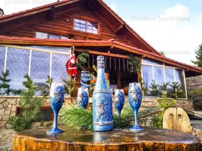 RATE Pensiune Superba*** 12 cam malul Lac Mocearu piscina - foto 3