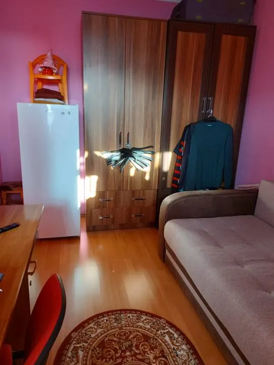 73 mp, 3 camere, confort 1, Mobilat si Utilat, izolat termic, Viziru 1 - Pistruiatu - foto 3