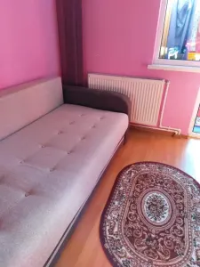 73 mp, 3 camere, confort 1, Mobilat si Utilat, izolat termic, Viziru 1 - Pistruiatu - foto 4