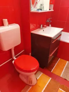 73 mp, 3 camere, confort 1, Mobilat si Utilat, izolat termic, Viziru 1 - Pistruiatu - foto 8