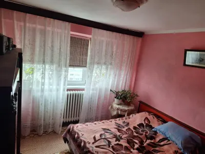 Ap 3 cam Calea Galati- Plantelor conf 1 ,70 mp bine intretinut - foto 5