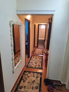 Ap 3 cam Calea Galati- Plantelor conf 1 ,70 mp bine intretinut - foto 7