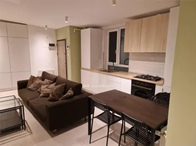 2 camere Obor | VIla renovata cu gradina si terasa | Centrala | Metrou - foto 6