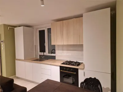 2 camere Obor | VIla renovata cu gradina si terasa | Centrala | Metrou - foto 7