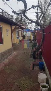 Casa 5 cam. boltari BUNA Chercea RAR  250 mp teren - foto 7