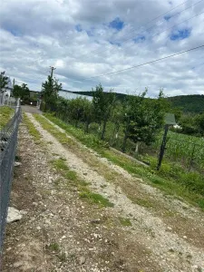 Terenuri intravilane de vânzare – Pătrăuți Suceava - foto 18