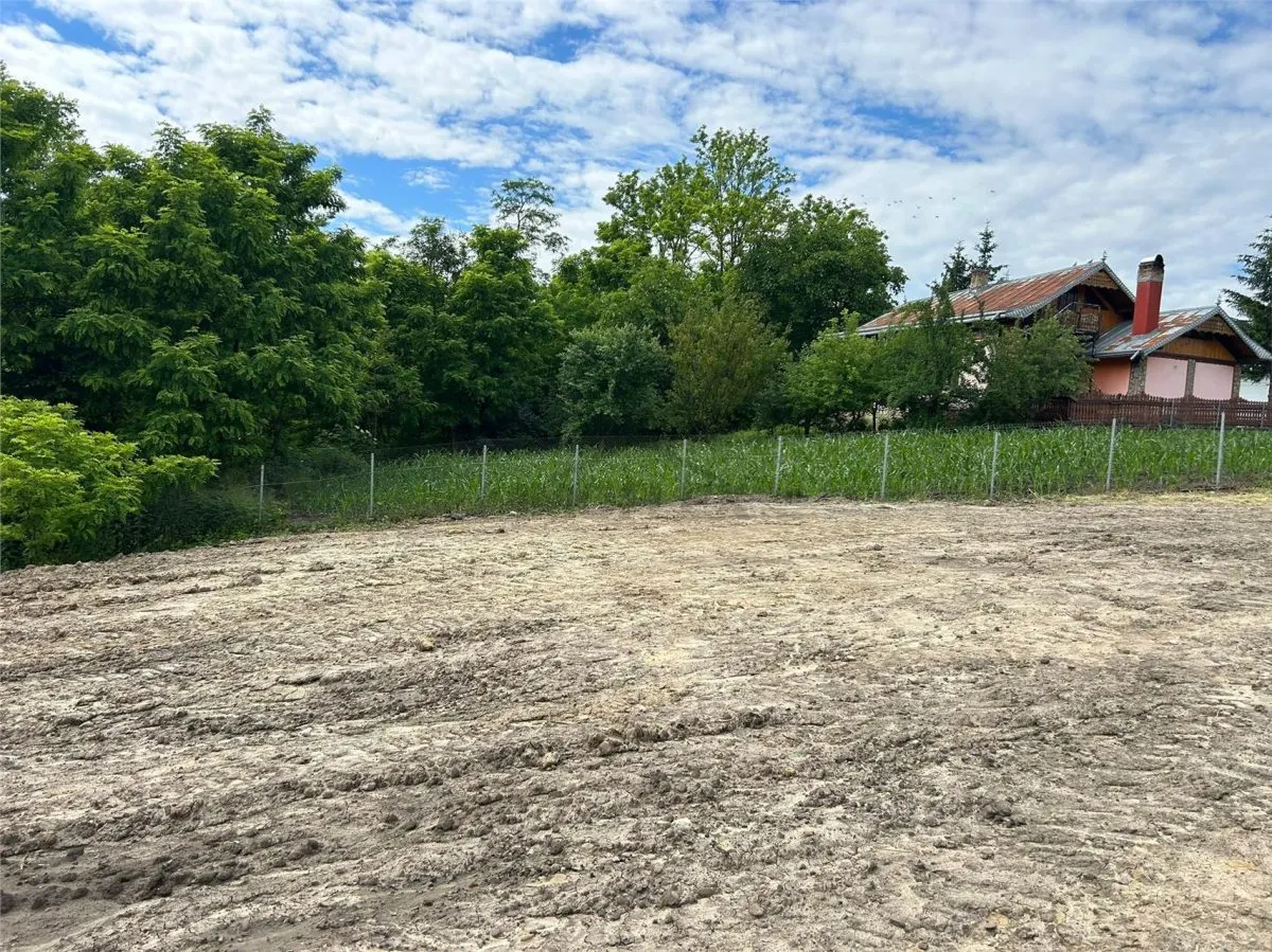 Terenuri intravilane de vânzare – Pătrăuți Suceava - foto 19
