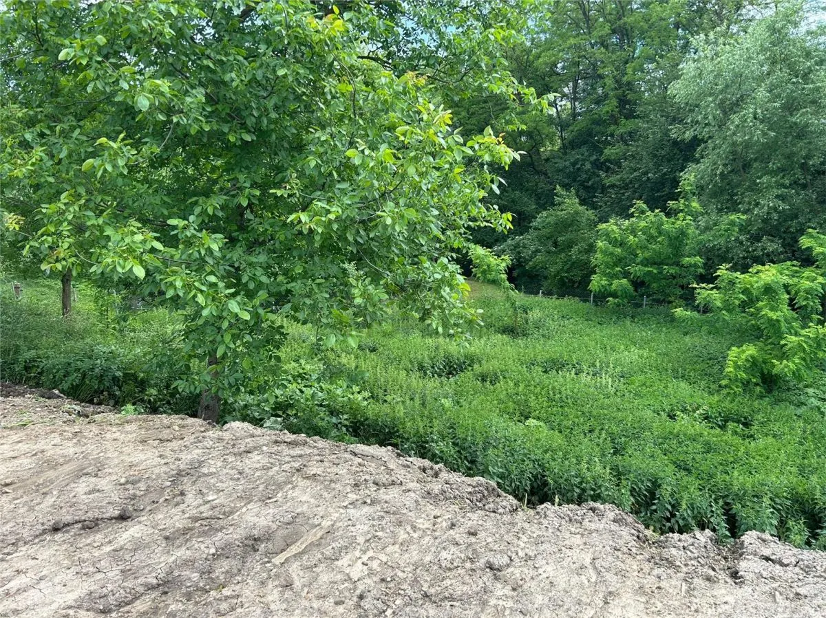 Terenuri intravilane de vânzare – Pătrăuți Suceava - foto 20