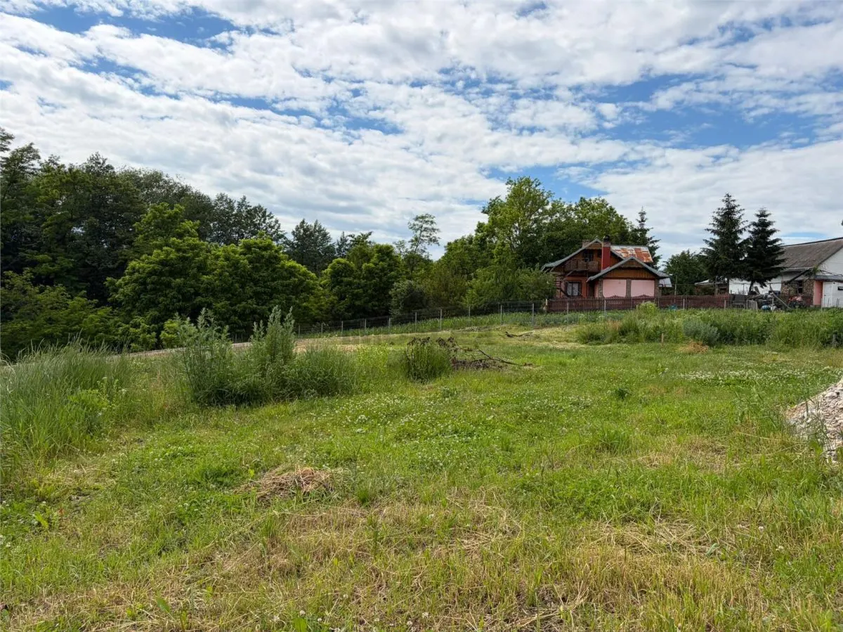 Terenuri intravilane de vânzare – Pătrăuți Suceava - foto 3