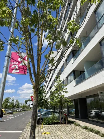 Apartament 1 camera București - poza 5