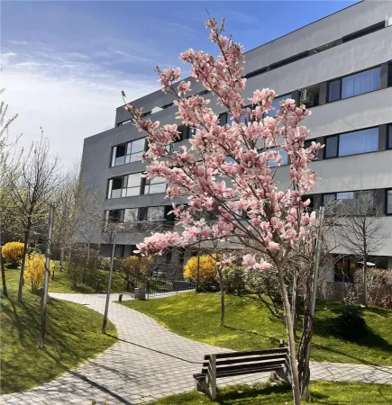 Apartament 1 camera București - poza 6