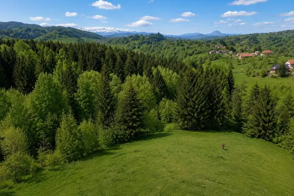 Casă 3 camere Bran - poza 3
