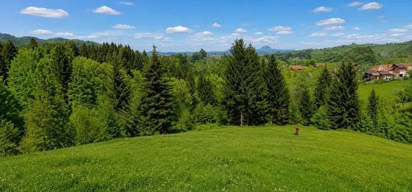 Casă 3 camere Bran - poza 5