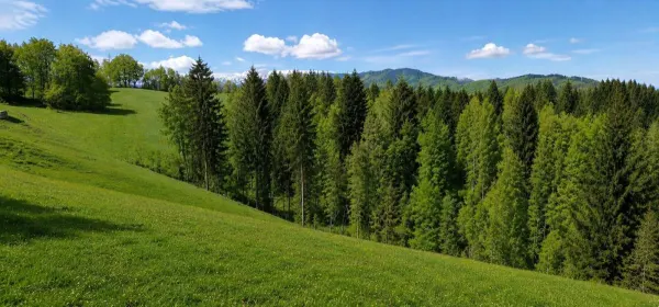 Casă 3 camere Bran - poza 6