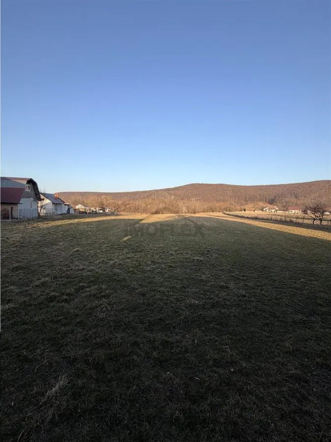 Vilă în Pătrăuți + 8400mp teren - foto 25