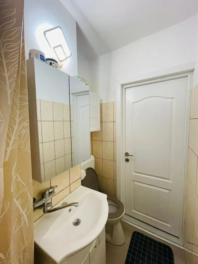Apartament 2 camere de vanzare, vest, 3 4. Str Arhip Nicolae, renovat, 49.000 euro - foto 6