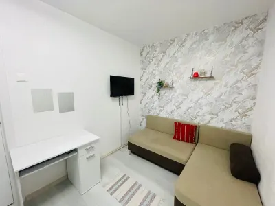 Apartament 2 camere de vanzare, vest, 3 4. Str Arhip Nicolae, renovat, 49.000 euro - foto 8
