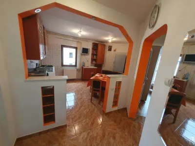 Apartament 2 camere zona Judetean ,mobilat,115000 Euro - foto 7
