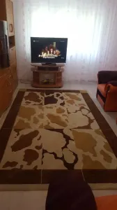 Apartament 3 camere zona Judetean ,parter,mobilat,renovat,150000 Euro - foto 2