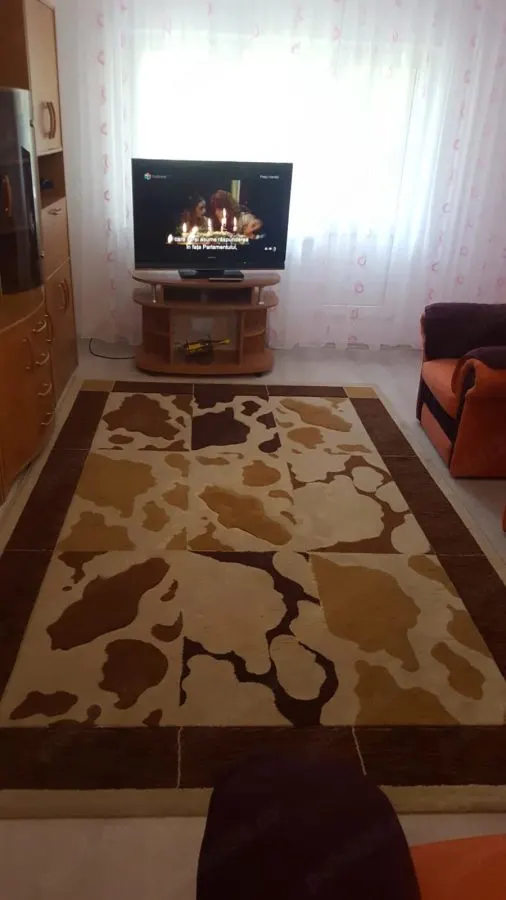 Apartament 3 camere zona Judetean ,parter,mobilat,renovat,150000 Euro - foto 2