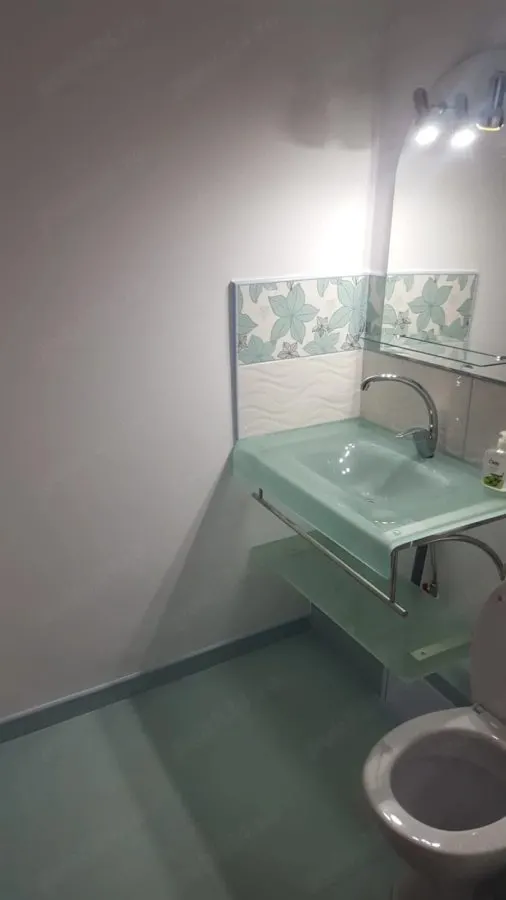 Apartament 3 camere zona Judetean ,parter,mobilat,renovat,150000 Euro - foto 5