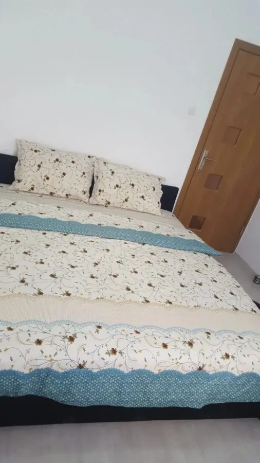 Apartament 3 camere zona Judetean ,parter,mobilat,renovat,150000 Euro - foto 7