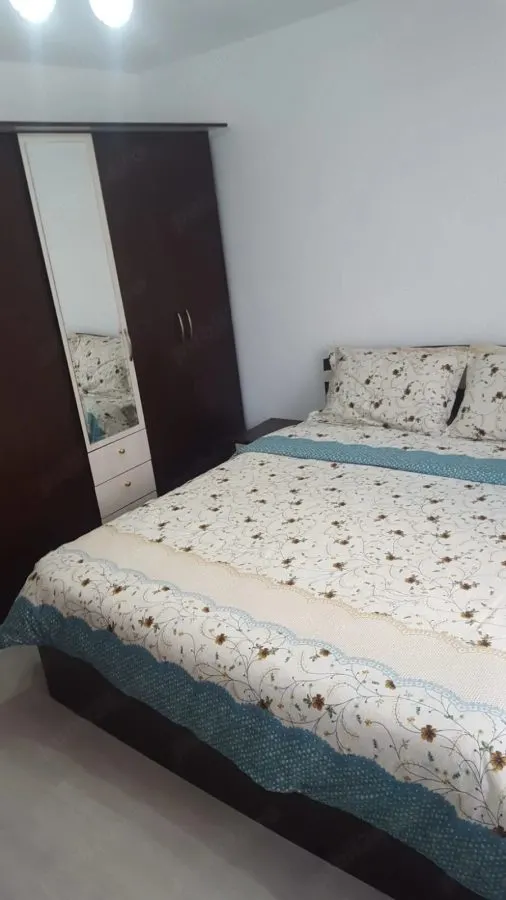 Apartament 3 camere zona Judetean ,parter,mobilat,renovat,150000 Euro - foto 8