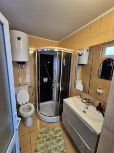 SUPER CASA 3 camere 130mp utili  Lacu Sarat Teren- 252 mp - foto 15