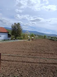 Teren intravilan Jelna - foto 1