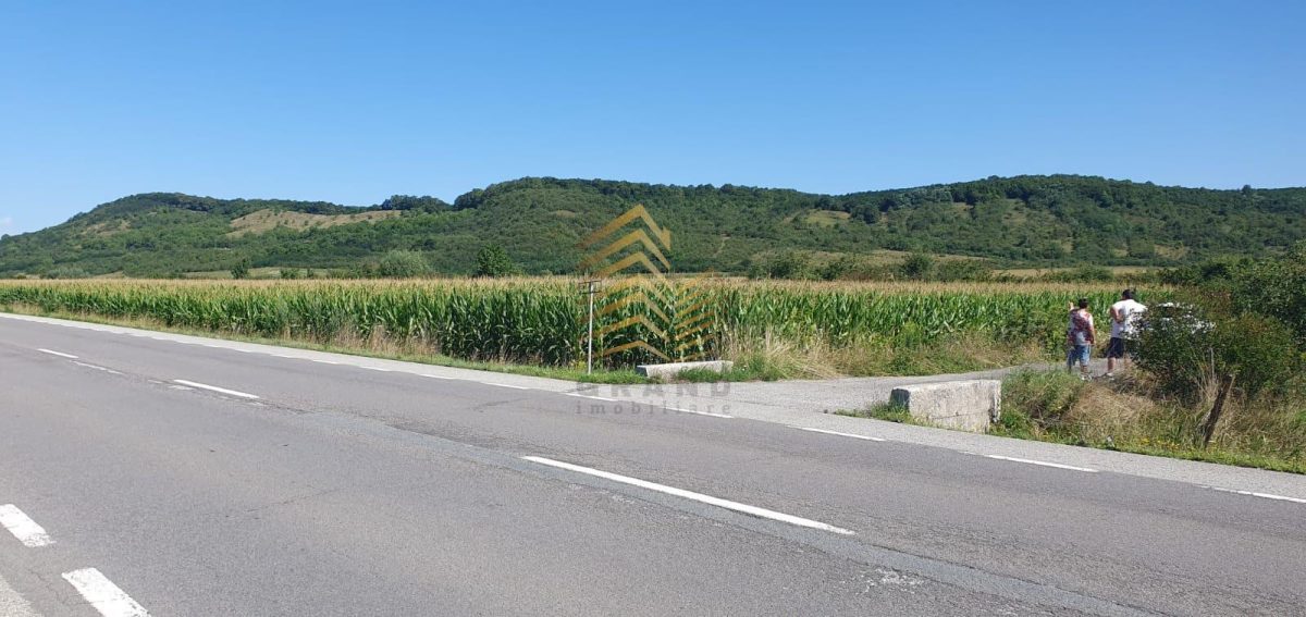 TEREN DE VANZARE PODIREI | 10 ARII INTRAVILAN | 48 ARII EXTRAVILAN - Podirei